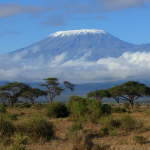 Mount Kilimanjaro Peak: Roof of Africa