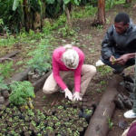 Machame Tree Planting Project