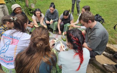 Organic Traditional Food Offerings