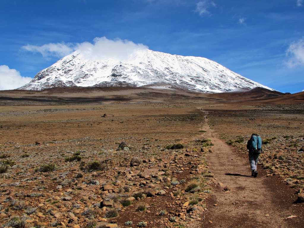 8 Day Kilimanjaro Climbing, Shira Route