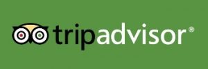 TripAdvisor Forums