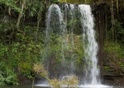 Water Falls